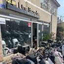 [제주라인스쿠터] 제주도 스쿠터 대여 가격, 면허 정보