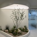 케이치과병원 이미지