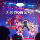 동춘마트 | 2026 강원도 축제 강릉 단오제 볼거리 동춘서커스 체험 놀거리 추천