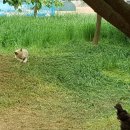 김제아리랑농원 이미지