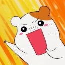 비아지오 이미지
