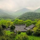 우프우프 이미지