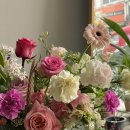 주정차단속-113 이미지