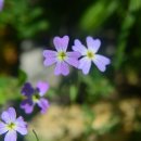 양편농장 이미지