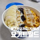 요거트월드(부평청천점) | 딸기 요거트 아이스크림 나나베리에 초코쉘 추가 후기 '요거트월드 부평청천점'