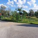 금와습지 생태공원 이미지