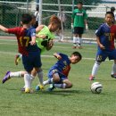 고색초등학교 이미지