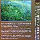 조선왕릉 순례;남양주 광해군묘와 성묘,안빈묘,임해군묘 탐방.............(전철 시리즈 제135탄) 이미지