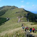 골드대박산악회 11월 제19차 정기 산행안내 ( 울산 신불산 ) 이미지