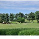 미류네 농장 이미지