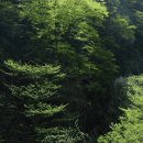 운길산 등산로[송촌-9] | "여름철 등산 초보자도 OK!" 경기도 당일치기 등산 코스 추천 4곳 - 서울 근교 힐링 산행지