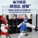 MTA 미래태권도장 이미지