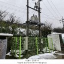 태생3리 이미지