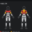속 편한 식물성 단백질쉐이크 추천ㅣ프로게이너 리얼머슬 단백질보충제 후기