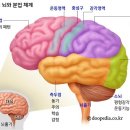 본 힐링하우스 이미지