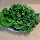 대원칼국수 이미지