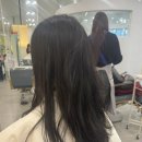 다겸헤어 - 12021 | 다겸헤어