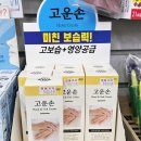 고운손 - 제주시 | 고운손