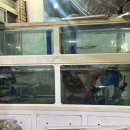 이래도안올래 이미지