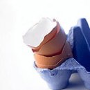 달걀껍질을 이용한 재활용 노하우~ 이미지