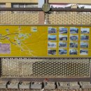 강화읍-2 이미지