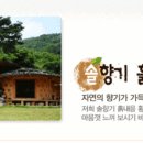 솔향기흙내음 이미지