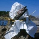 도인산업 | 자동차 고사? 자동차 신명? 전 세계 자동차 1위 기업은 일본의 토요타