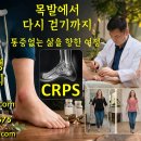 음양오행한의원 | 사암침법으로 CRPS 완치 | 정통사암오행침구학회 명의 양성 교육