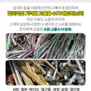 성모사랑이비인후과의원 이미지