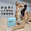 한달후기 니즈펫닥터 강아지 관절영양제 글루코사민