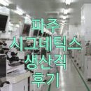 시그네틱스(주)