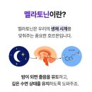 잠드는 시간이 달라졌다, 힐릭스 식물성 멜라토닌 2mg 타트체리 후기