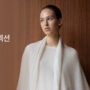 모던애드