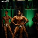 선샤인피티샵 이미지