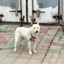 돌트미스테이 이미지