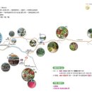 팔공산올레길 8코스 이미지