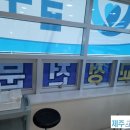 제주늘푸른치과의원 네이버블로그