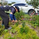 일동주유소 이미지