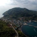 가덕도 동백군락지 이미지