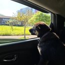 오룡산 등산로 입구 이미지