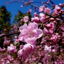 김원삼행정사사무실 이미지