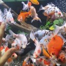 달포큰길 이미지