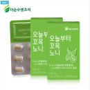 노니정 못생겨도 좋아 더순수렛츠미 노니정