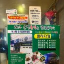 참치다컴 이미지