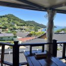 꽃섬해물 이미지