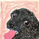 나무(NAMU) 이미지