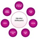혁이네식품 | 쥐눈이콩 차 매일 마시면 생기는 변화 5가지