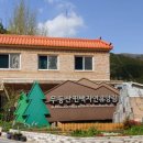 편백자연휴양림 이미지