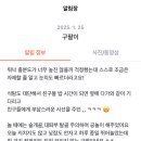 서울댕입구 네이버블로그