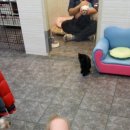 하단동1114 이미지